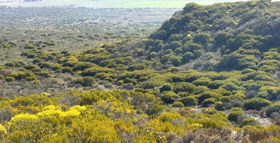 0 Bedroom Property for Sale in Riversdale Rural Western Cape